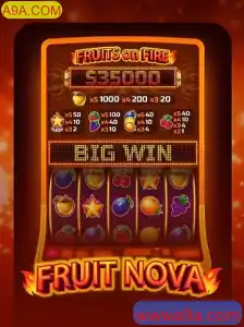 Descubra o Fascinante Mundo de FruitNova na Plataforma A9A.COM
